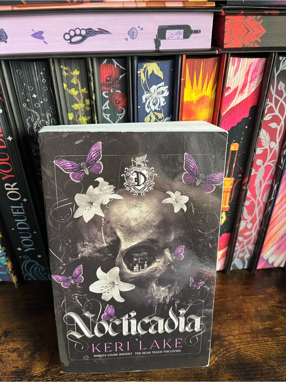 Nocicadia by Keri Lake Indie OOP